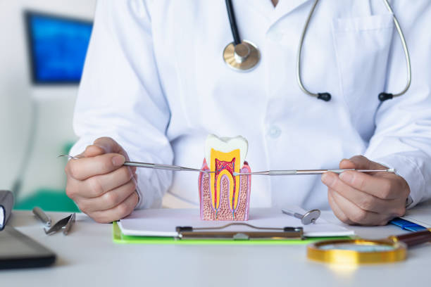 Best Dental Abscess Treatment in Kensington Park, FL